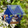 Duncraft Modern Bluebird Central Feeder with Eastern Bluebirds feeding on mealworms, featuring clear plastic sides and roof, hanging in a garden setting.