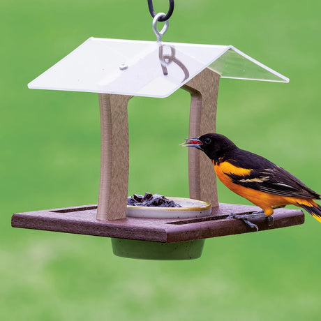Duncraft Elegant Oriole Feeder with a wooden platform and clear acrylic roof, featuring a Baltimore Oriole enjoying jelly from a granite gray porcelain dish.