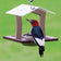 Duncraft Elegant Oriole Feeder with a red-headed woodpecker, featuring a clear plastic roof, platform, and dish of fruit jelly for birds.