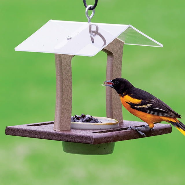 Duncraft Elegant Oriole Feeder with perched bird, featuring a clearview plastic roof, 7 oz. porcelain dish, and wide built-in perches for easy bird viewing.