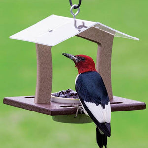 Duncraft Elegant Oriole Feeder with a woodpecker perched on the bird feeder, featuring a 7 oz. dish for treats, and an anchored roof.