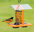 Duncraft Oriole Fruit and Jelly Classic Feeder with bird perched on it, featuring orange slices and grape jelly dishes in wire caging with protective roof.