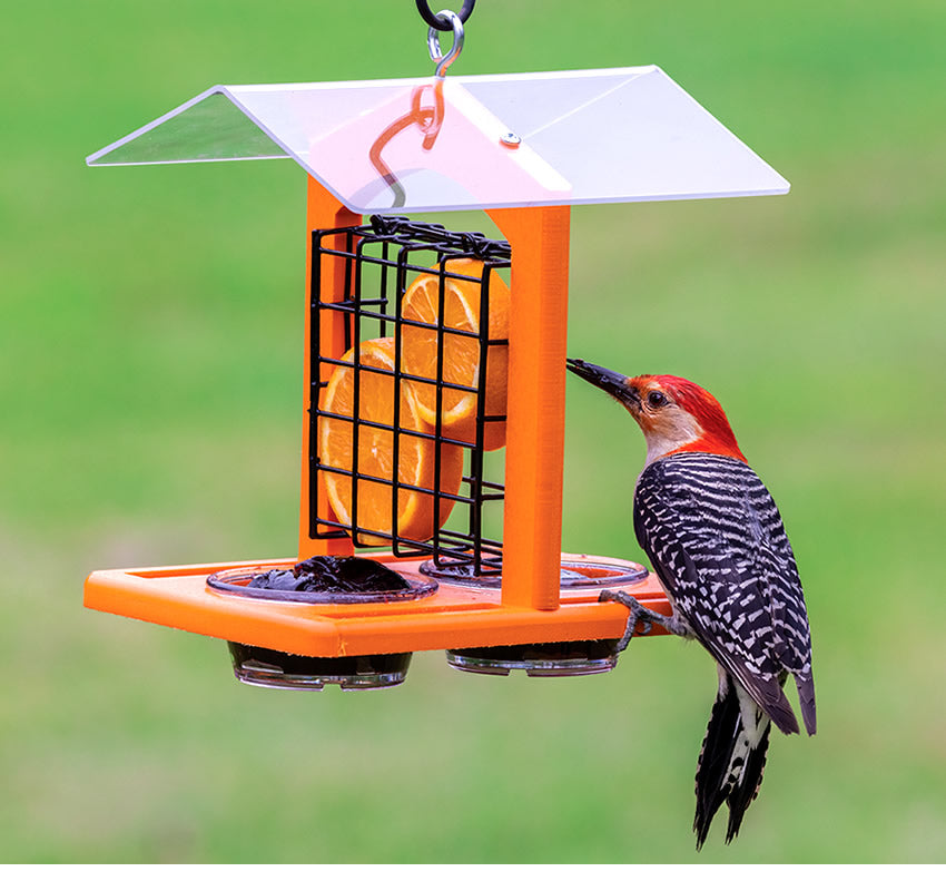 Duncraft Oriole Fruit and Jelly Classic Feeder with woodpecker on wire cage, featuring orange slices and jelly dishes, designed for easy cleaning and refilling.