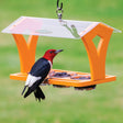 Duncraft Triple Jelly Cafe bird feeder with clear roof, three suet cups, and a red-headed woodpecker perched on the tray, feeding.