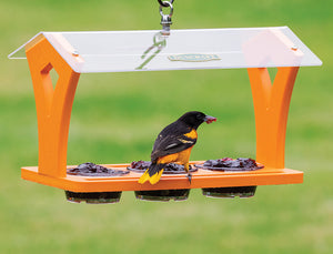 Duncraft Triple Jelly Cafe bird feeder with a bird perched and eating from one of three jelly dishes under a large overhanging roof.