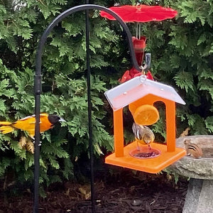 Duncraft Ultimate Oriole Jelly Feeder featuring a clear dish with grape jelly, orange halves on side mounts, and an offset roof for weather protection.