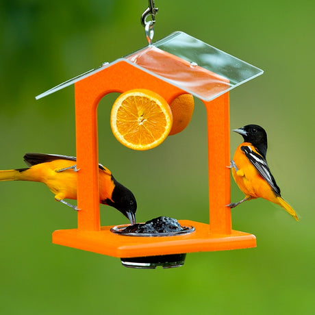 Duncraft Ultimate Oriole Jelly Feeder with orioles perched, featuring a hanging orange feeder, halved orange, and grape jelly cup on a geometric design.