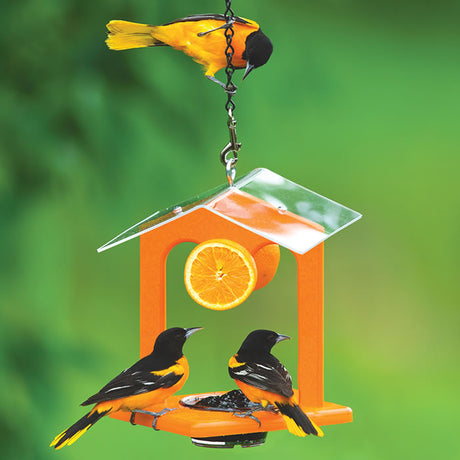 Duncraft Ultimate Oriole Jelly Feeder with birds, orange slices, and jelly dish, featuring a protective roof and side mounts for easy feeding.