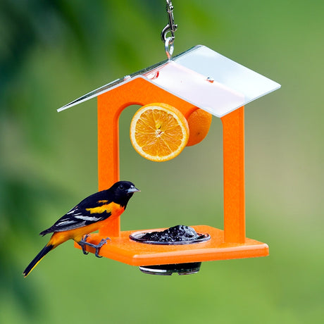 Duncraft Ultimate Oriole Jelly Feeder with orange halves and grape jelly, featuring a clear plastic roof and durable orange design, ideal for attracting orioles.