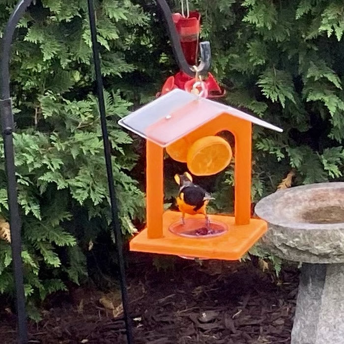 Duncraft Ultimate Oriole Jelly Feeder with bird bath, featuring an orioles' feeding dish for jelly and orange halves, and a protective offset roof.