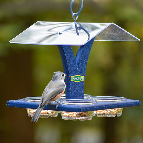 Duncraft Bluebird Best View Feeder features a gray songbird on a feeder with a clear roof and six seed cups, each filled with bird seed.