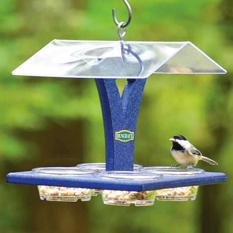 Duncraft Bluebird Best View Feeder with a clear roof, four seed-filled cups, and a chickadee feeding, designed for easy cleaning and versatile bird feeding.