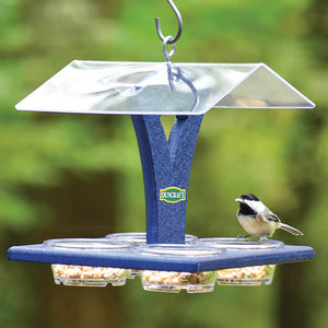 Duncraft Bluebird Best View Feeder with a bird perched on it, featuring a clear plastic roof and removable feeding dishes.