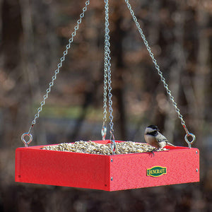 Duncraft Best Basic Open Platform Feeder with a bird standing on the red tray, featuring metal mesh drainage and built-in perching space.