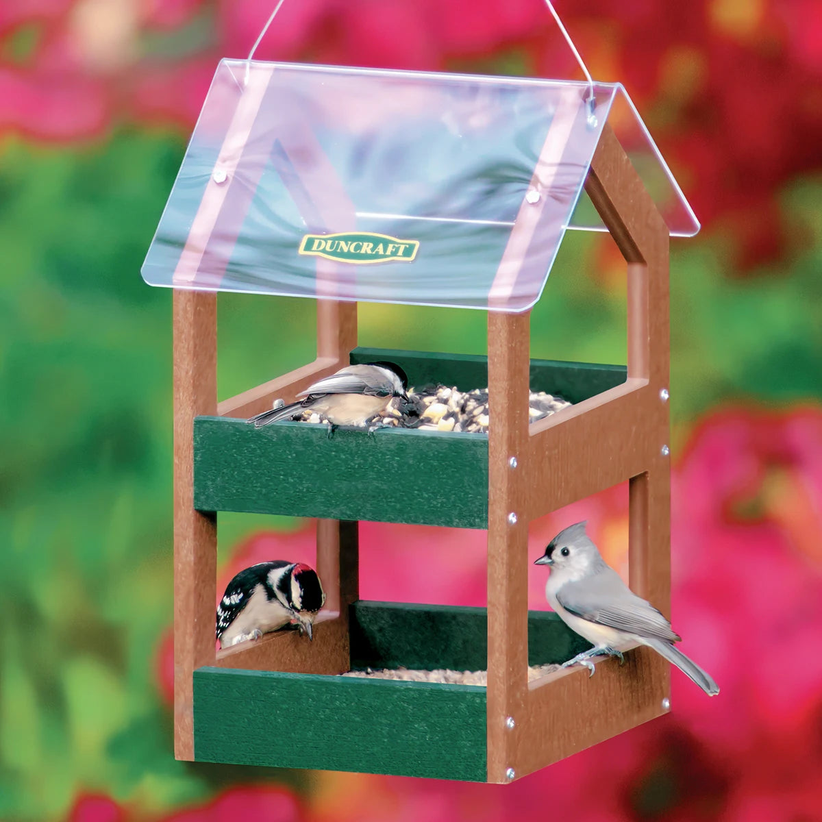 Duncraft Classic Double Decker Feeder with two-tiered design; clear roof, stocked with seeds, hosts a chickadee, woodpecker, and titmouse feeding.