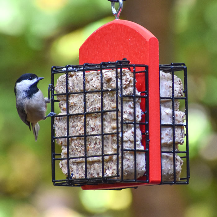 Duncraft Double Suet Feeder with a red recycled plastic base, two suet cages, and space for birds to cling and feed from both sides.