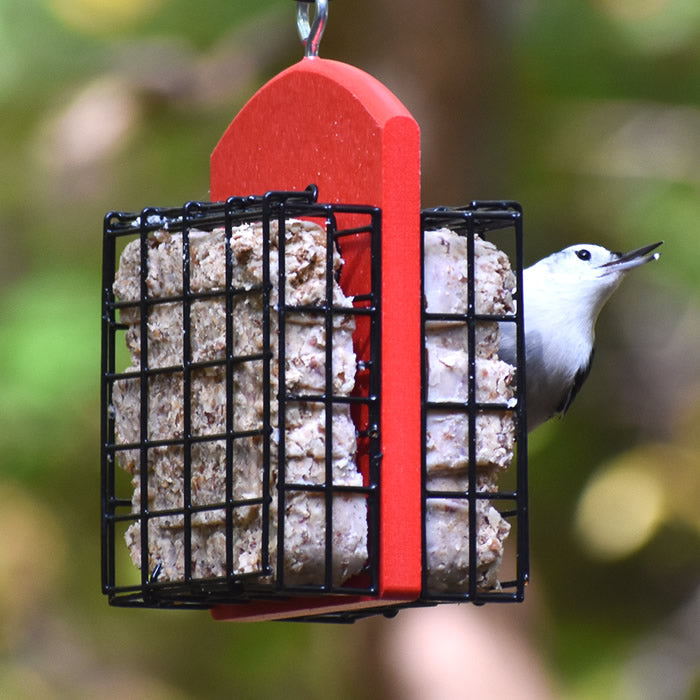 Duncraft Double Suet Feeder with a red recycled plastic base, two suet cages, and an eye hook for hanging, shown with a bird feeding.