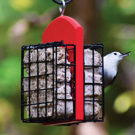 Duncraft Double Suet Feeder with woodpecker perched, featuring dual-sided wire grids and two suet cages for easy bird clinging and feeding.