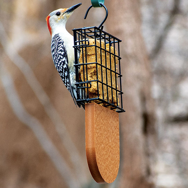 Tail Prop Suet Feeder, Cedar, with woodpecker on feeder. Features suet cage and tail prop area for bird balance.