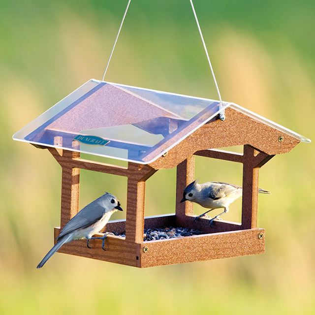 Duncraft Covered Bridge Platform Feeder with two birds perched, featuring wide fly-through openings, built-in perches, and a clear protective roof.