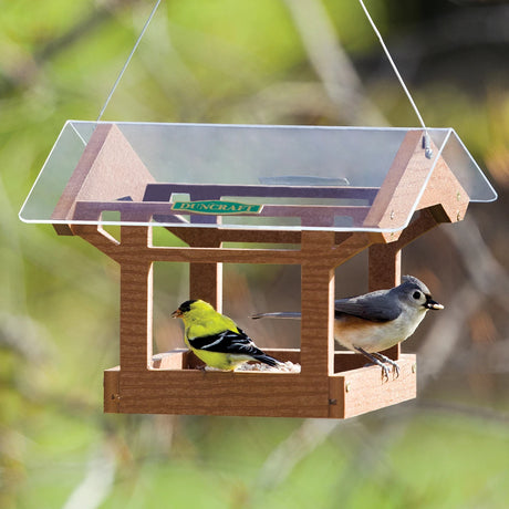 Duncraft Covered Bridge Platform Feeder with a clear acrylic roof, showcasing two songbirds feeding. Features include built-in perches and durable recycled plastic construction.