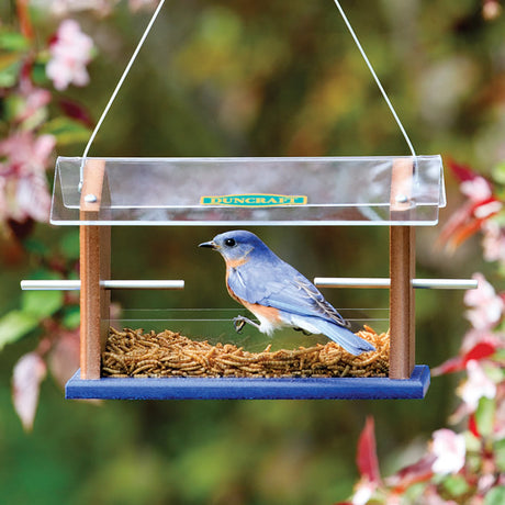 Duncraft Bluebird Central Feeder with clear roof, multiple perching spots, and cable hanger, featuring bluebirds feeding. Holds 1 lb. of food, easy to clean.