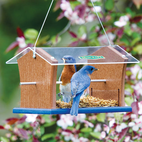 Duncraft Bluebird Central Feeder with bluebirds perched, featuring a clear plastic roof, lower side walls, and multiple perching spots.