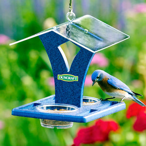 Duncraft Easy Bluebird Feeder with large tray and overhanging roof, featuring two clear dishes for mealworms. Includes eye hook for hanging.