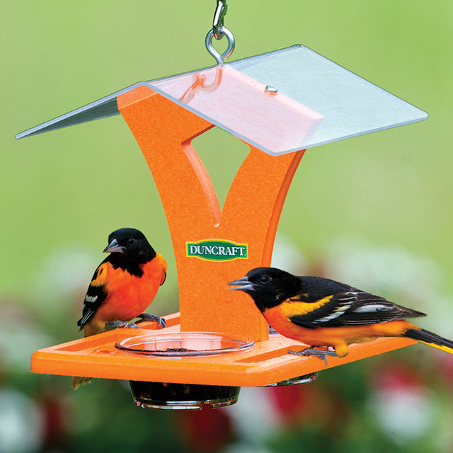 Duncraft Easy Oriole Feeder with two birds feeding from clear dishes under a large overhanging roof, designed to hold grape jelly.