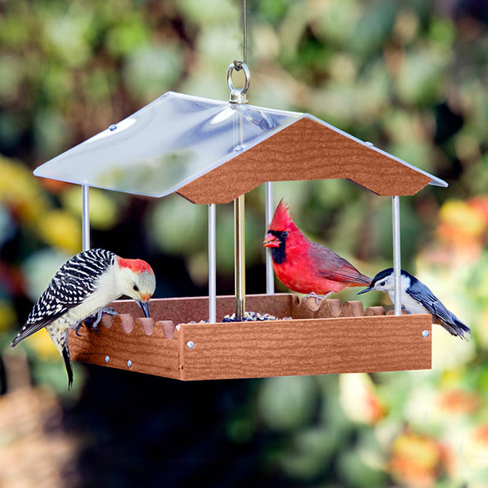 Duncraft Covered Wave Platform Feeder with multiple birds eating; features a clear roof, wave-like perches, and mesh bottom for weather protection.