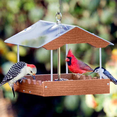 Platform Bird Feeders