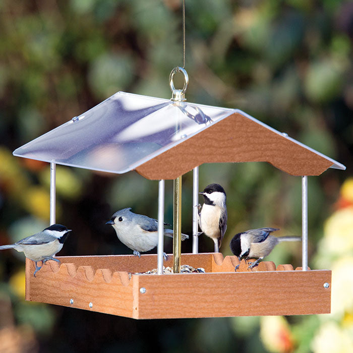 Duncraft Covered Wave Platform Feeder with birds perched and feeding on its multidimensional side walls, featuring a clear roof and mesh bottom for weather protection.