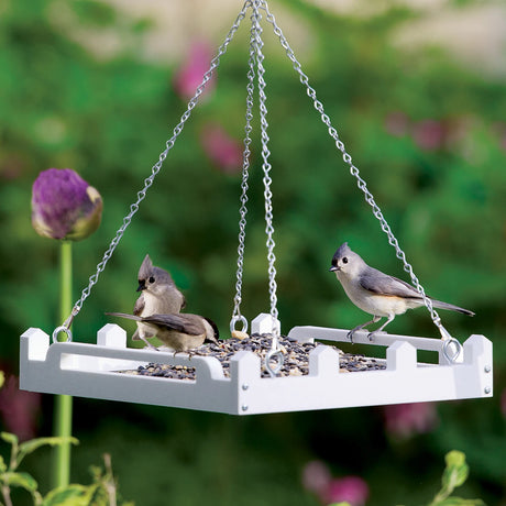 Duncraft White Picket Fence Platform Feeder with metal chains, filled with birdseed, and featuring three small songbirds perched and feeding in a garden setting.