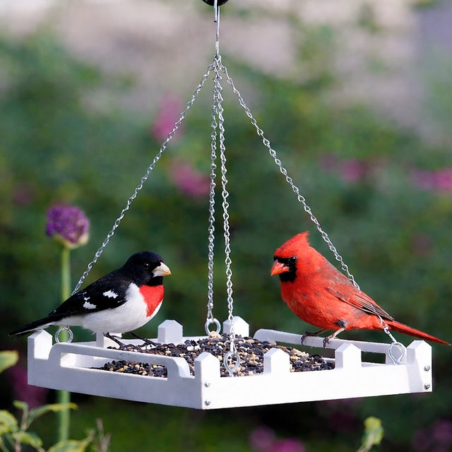 Duncraft White Picket Fence Platform Feeder with durable white recycled plastic and metal mesh drainage, showcasing a Northern Cardinal and Grosbeak, filled with mixed seeds.