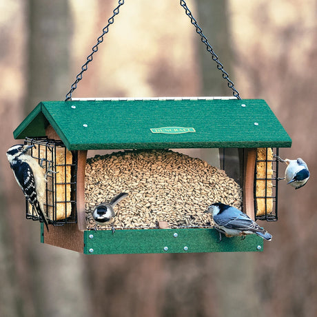 Duncraft Grandview Hopper Feeder with Double Suet Cages, housing sunflower seeds and suet, attracts chickadees, woodpecker, and nuthatch, with an easy-fill design and ample feeding space.