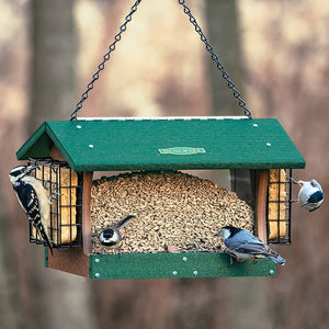 Duncraft Grandview Hopper Feeder with Double Suet Cages, showing multiple birds feeding on seeds and suet from a large, weather-protected feeder with an overhanging roof.