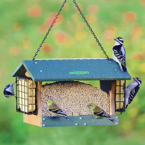 Duncraft Grandview Hopper Feeder with Double Suet Cages, featuring birds feeding on seed and suet from the large hopper feeder with built-in tray and suet cages.