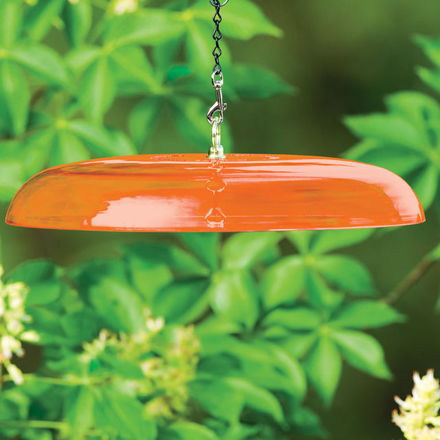 Duncraft Tilt-Top Squirrel Baffle, Orange - Made in the USA: A durable plastic baffle hanging from a chain, designed to tilt and slide squirrels off.