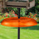 Duncraft Pole Baffle, Orange - Made in the USA, shown mounted under a bird feeder on a black pole, effectively preventing squirrel access.