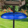 Duncraft Pole Baffle, Blue - Made in the USA, shown attached to a pole, effectively blocks squirrels from accessing the bird feeder above.