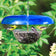 Duncraft Tilt-Top Baffle & Feeder, Blue - Made in the USA, featuring a clear seed tray with a blue cover, attracting goldfinches and a chickadee.
