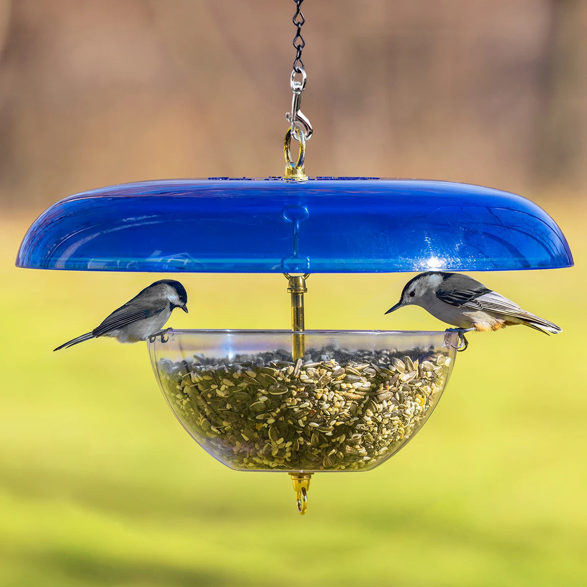 Duncraft Tilt-Top Baffle & Feeder, Blue - Made in the USA, featuring a clear seed bowl with two birds feeding, designed to deter squirrels.
