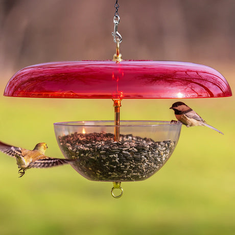 Duncraft Tilt-Top Baffle & Feeder, Red - Made in the USA, features a squirrel-proof design with two songbirds enjoying sunflower seeds in a garden setting.