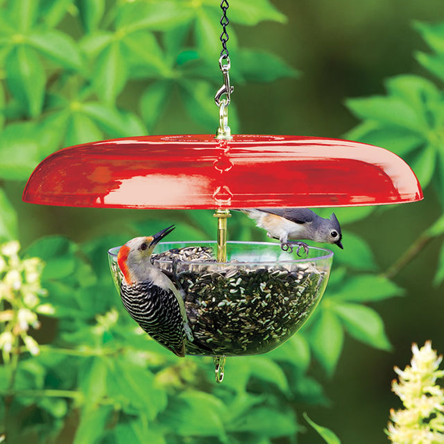 Duncraft Tilt-Top Baffle & Feeder, Red - Made in the USA, featuring a squirrel-proof design with a tilting roof, clear bowl, and bird feeding.