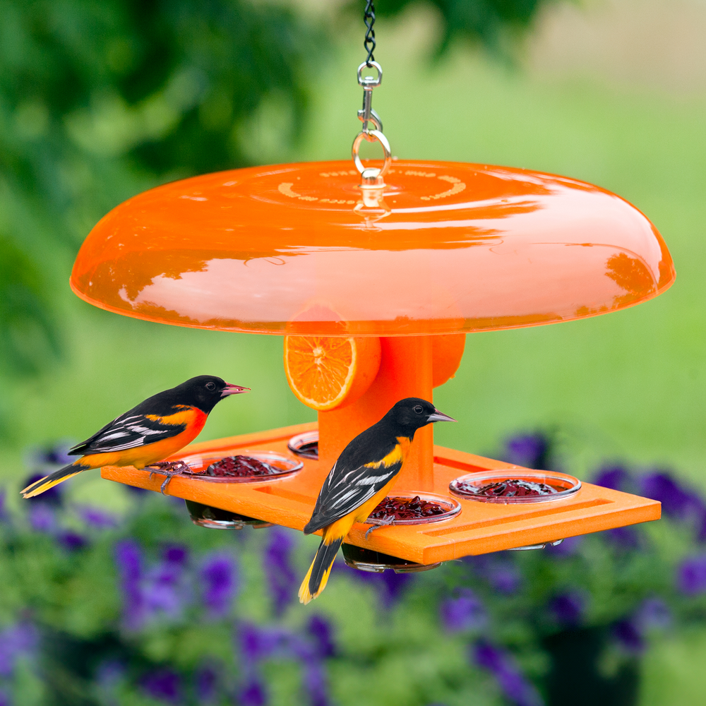 Duncraft Deluxe Orange Oriole Jelly Feeder