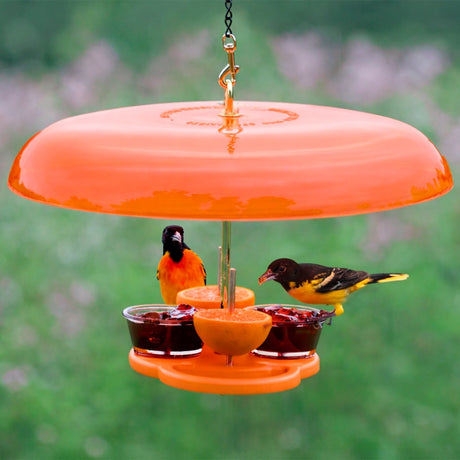 Orange bird feeder with two birds perched on it against a blurred green background
