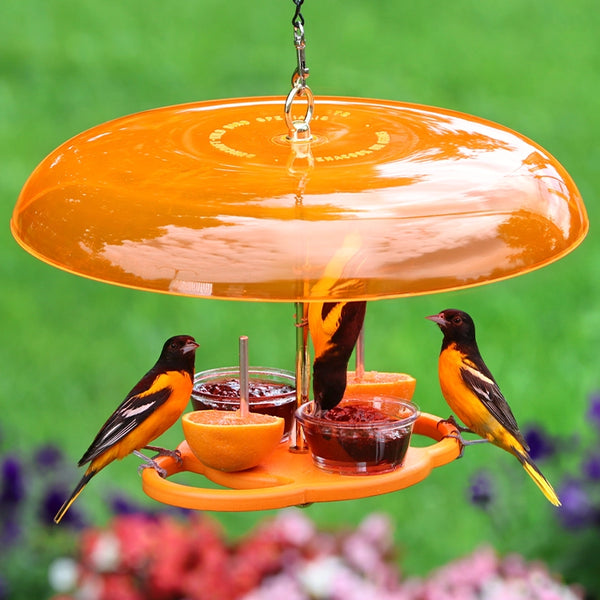 ORACLE フライリール オレンジ糸付き Duncraft Oriole Fruit Feeder Plus | Orange Guard | USA