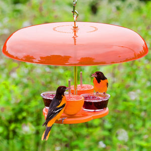 Orange bird feeder with jelly cups and birds perched on a blurred green background