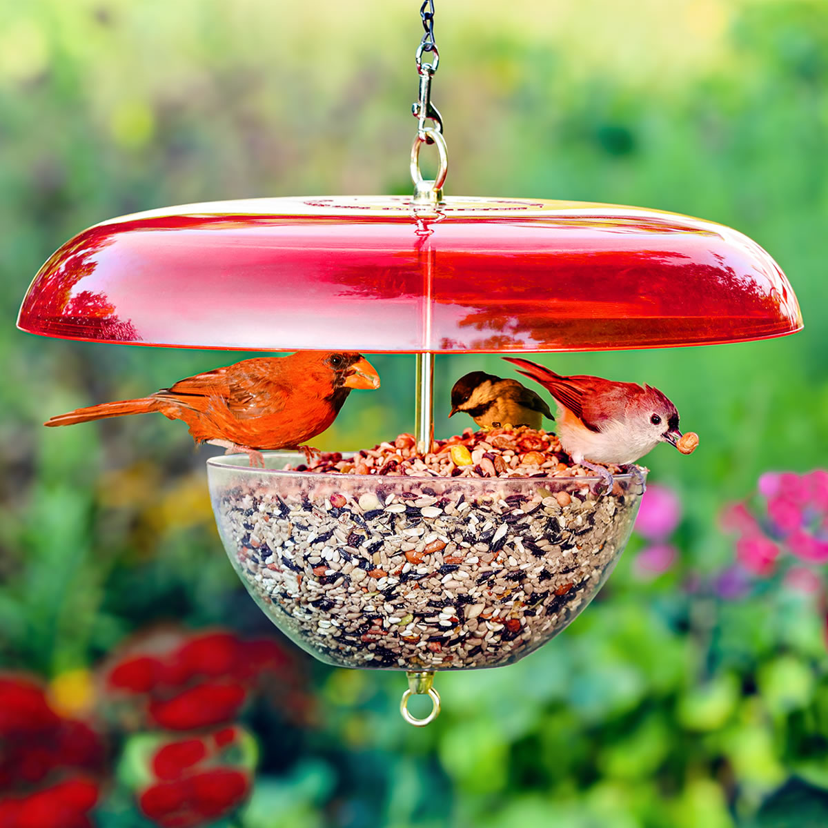 Duncraft Cardinal Feeder with Red Baffle--Made in the USA