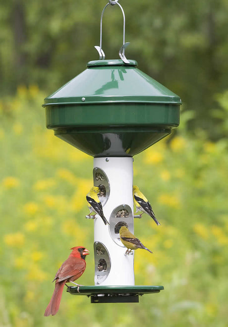 Heavy-Duty Bird Feeder with 18 lb. capacity, showing multiple birds feeding from ports and bottom tray, designed with built-in ventilation and easy-to-clean snap-out base.